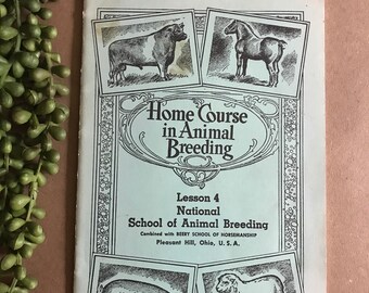 Vintage 1961 Home Course in Animal Breeding Lesson 4 ~ National School / Beery Horsemanship