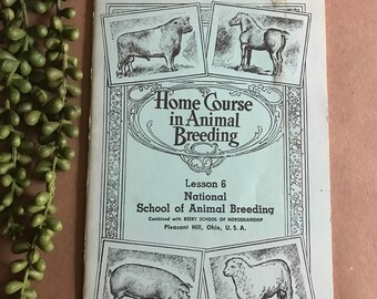 Vintage 1961 Home Course in Animal Breeding Lesson 6 ~ National School / Beery Horsemanship