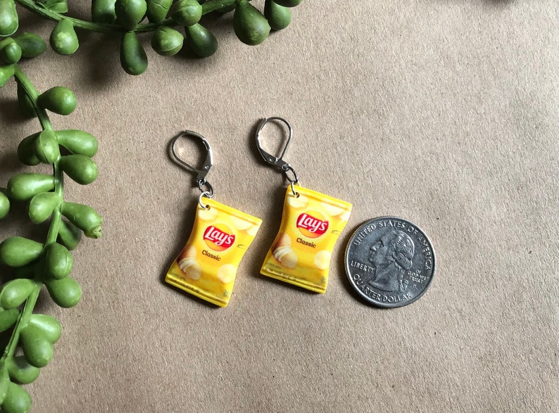 Lays Potato Chips Junk Food Earrings Miniature Snacks Etsy