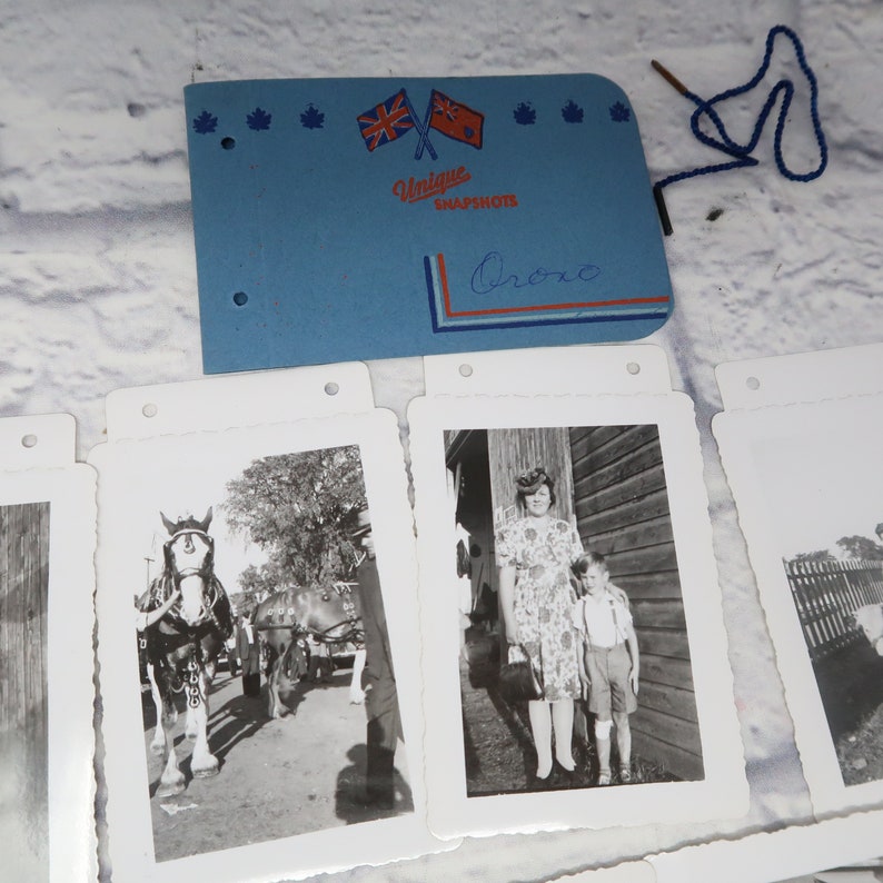 Lot of 11 Vintage Photos 1940s Country Farming Cows Young People Rural Ontario n1 image 3