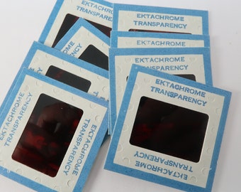 Lot de 8 diapositives 35 mm vintage des années 60, bordure bleue, transparence ektachrome n1