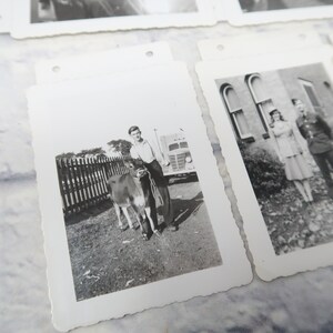 Lot of 11 Vintage Photos 1940s Country Farming Cows Young People Rural Ontario n1 image 1