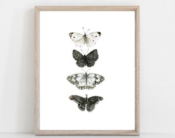 Butterflies and Moth watercolor art print