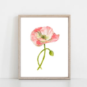 Pink Poppy Watercolor Art Print