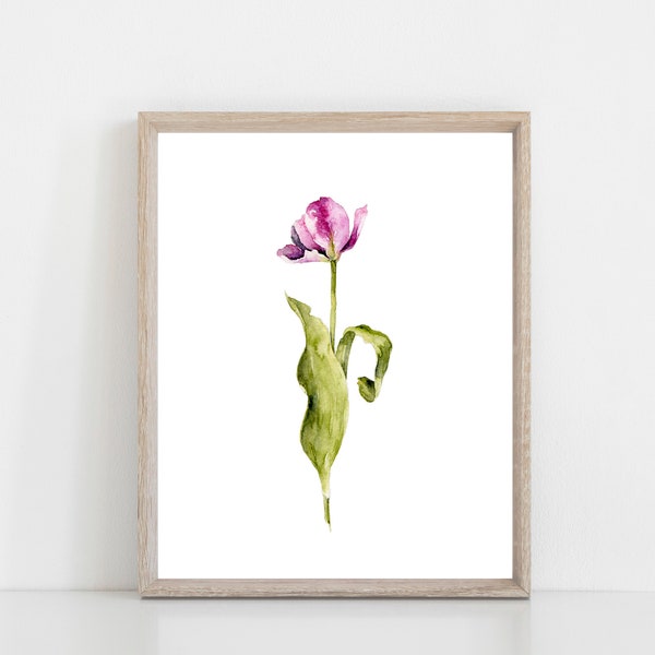 Single Stem Purple Tulip Watercolor Art Print