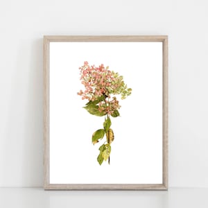 Autumn Hydrangea Floral Watercolor Art Print