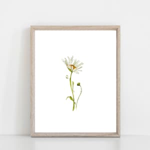 White Daisy watercolor art print