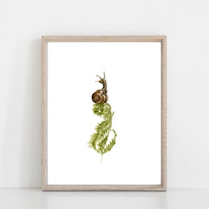 Snail and Fern watercolor art print