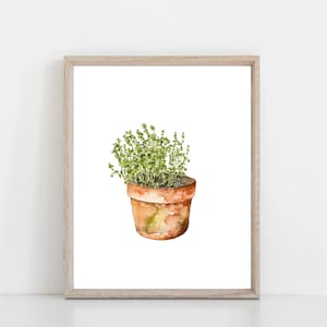 Thyme in Clay Pot watercolor art print