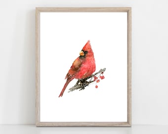 bird watercolour print, cardinal painting, 8 x 10 wall art