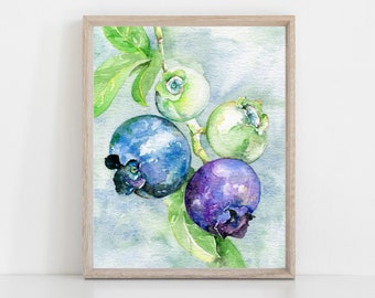 blueberry illustration art print