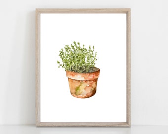 Thyme in Clay Pot watercolor art print