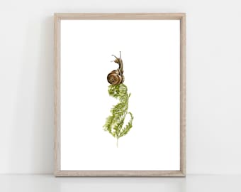 Snail and Fern watercolor art print