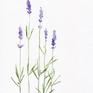 Purple Lavender Watercolor Art Print Floral Wall Art - Etsy