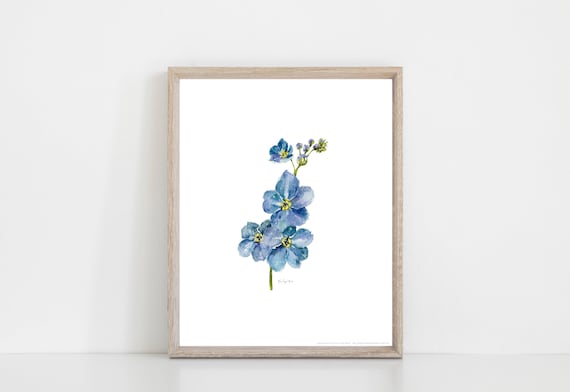 blue forget me not flowers 2021 watercolor - Blue Flowers - Sticker