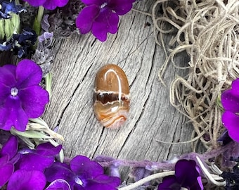 Thunderegg Agate Cabochon