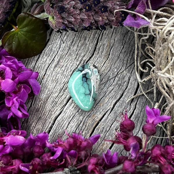 Desert Bloom Variscite Cabochon Etsy