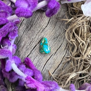 Sonoran Gold Turquoise Cabochon