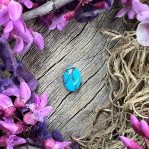 Egyptian Turquoise Cabochon