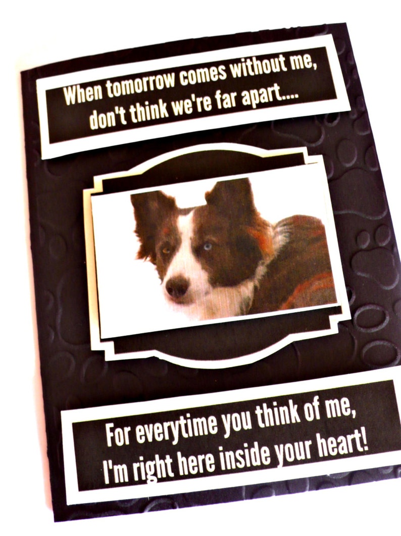 Pet Sympathy Cards Personalized Pet Loss Card Dog Sympathy Etsy