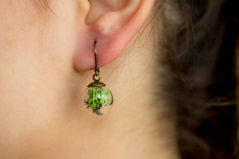 glass globe Jewelry Woman springlike glass globe french earrings green Moss Real Moss earrings vial ball earrings transparent earrings