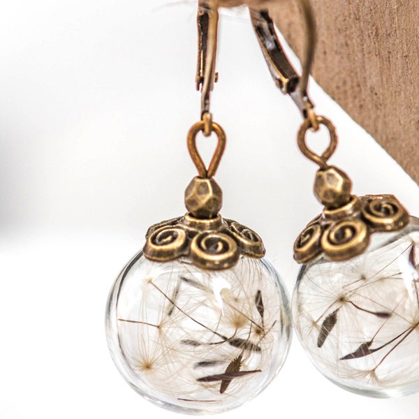 Boucles d’oreilles pissenlit, vrai pissenlit, boucles d’oreilles en bronze, boucles d’oreilles globe en verre, boucles d’oreilles graines de pissenlit, boucles d’oreilles boule de verre, globe en verre