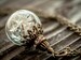 Dandelion necklace, Vintage necklace, dandelion jewelry, Easter gifts, for Women, terrarium, anniversary gifts, unique Raffinesse, present.U 