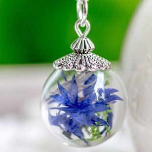 Corn Flower necklace, real flower, blue pendant, Jewelry for Woman, real flower jewelry, glass globe pendant, gift for sister, gift for her