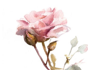 Rose Painting, Rose Fine Art Print, Light Pink Rose Watercolor Art, Wall Art Floral, Botanical Giclee Print, Floral Art, Flower Art Print