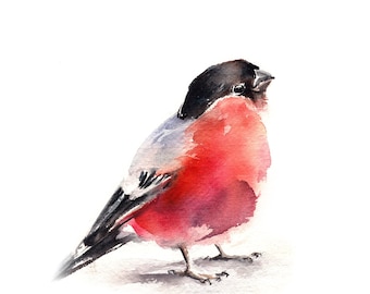 Aquarel print goudvink, kunst aan de muur vogel, illustratie goudvink, vogel schilderij, print rode vogel, vogel Fine Art Print