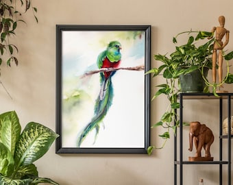 ケツァールの鳥の絵画 鳥の水彩画 アートプリント 赤 緑の鳥 壁アート