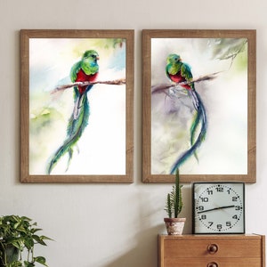 Quetzal Birds Art Prints Set, Green Red Bird Watercolor Prints, Gallery Wall Bird Painting Art, Bird Wall Art, Tropical Birds Wall Decor