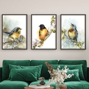 Bird Art Prints, Bird Wall Art, 3 Prints Set, Baltimore Oriole Bird, Watercolor Print, Gallery Wall Set of 3 Fine Art Prints Wall Decor