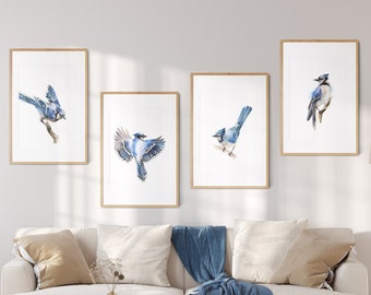 Blue Jay Bird Painting Watercolor Prints, Birds Gallery Wall Set of 4 Fine Art Prints, Bird Wall Art Decor Giclee Prints, Bird Illustrations