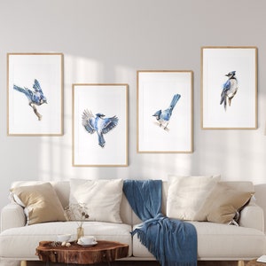 Blue Jay Bird Painting Watercolor Prints, Birds Gallery Wall Set of 4 Fine Art Prints, Bird Wall Art Decor Giclee Prints, Bird Illustrations image 1