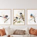 see more listings in the Bird Prints Sets section