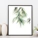Pine tree branch minimalist fine art print botanical | Etsy