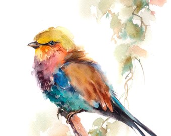 colorful bird art etsy