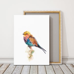 Lilac Breasted Roller Bird Wall Print, Bird Painting, Fine Art Print, Bird Watercolor Art, Tropical Wall Decor, Bird Art Print on Canvas