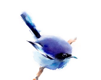 Minimalist Blue Bird Fine Art Print, Bird Watercolor Print, Fluffy Birdie Wall Illustration Decor