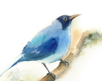 Blue Tropical Bird Fine Art Print, Bird Illustration, Curious Birdie Painting, Watercolor Print, Bird Wall Decor, Bird Art, Bird Wall Print