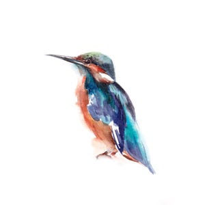 Zimorodek Ptak Fine Art Print, Malarstwo Ptaków, Wydruk Akwarelowy, Sztuka Ścienna Ptaków, Wydruk Ptaków, Zimorodek Ścienny Wydruk Sztuki, Ilustracja Ptaków