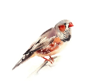 Zebravink vogel Art Print, aquarel print, vogel kunst aan de muur, vogel illustratie, vogel schilderen, vogel Fine Art Print, natuur kunst aan de muur decor kunst