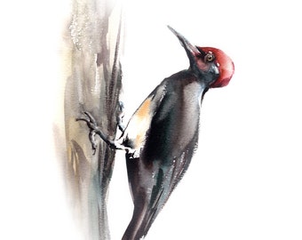 Woodpecker Fine Art Print, Bird Watercolor Painting Woodland Wall Decor