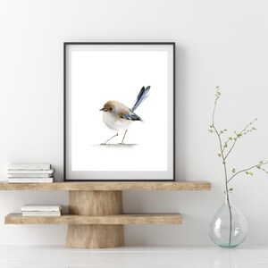 Puede incluir: Una impresi&oacute;n en acuarela enmarcada de un p&aacute;jaro peque&ntilde;o con cabeza marr&oacute;n, cuerpo blanco y plumas de cola azules. El p&aacute;jaro est&aacute; sobre una superficie gris claro. El marco negro se exhibe en una estanter&iacute;a de madera.