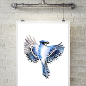 Blue Jay Bird Painting Watercolor Prints, Birds Gallery Wall Set of 4 Fine Art Prints, Bird Wall Art Decor Giclee Prints, Bird Illustrations image 5