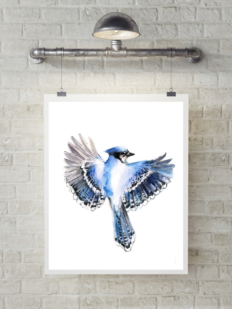 Blue Jay Bird Painting Watercolor Prints, Birds Gallery Wall Set of 4 Fine Art Prints, Bird Wall Art Decor Giclee Prints, Bird Illustrations image 5