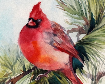 Northern Cardinal Art, Bird Watercolor Painting, Bird Art, Wild Life Painting, Home Decor, Cardinal Male on Pine Tree Branch Holiday Decor