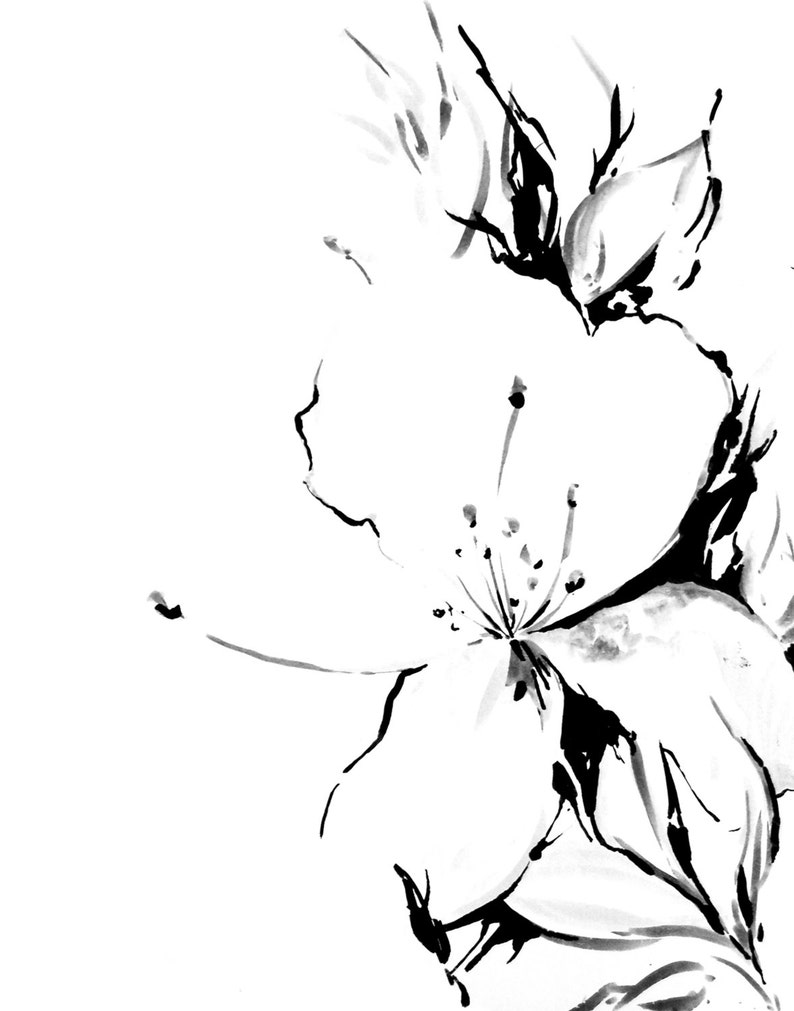 Fleurs De Fleur De Jasmin Art Minimaliste Impression Noir Et Blanc Dessin à Lencre Impression Impression Dart Botanique Moderne Mur
