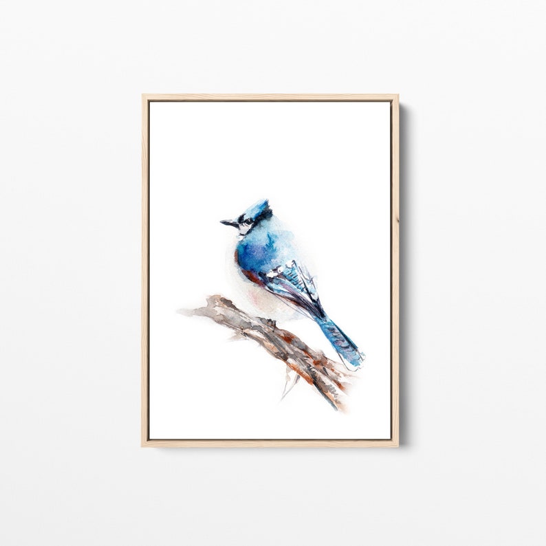 Bird Wall Decor, Blue Jay Bird Print, Watercolor Painting of Bird, Bird Wall Art, Giclee Print, Blue Bird Fine Art Print, Bird Painting Art image 3